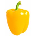 Gul paprika stk