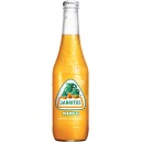 Meksikansk mango-brus 370ml Jarritos