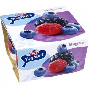 /prestashop/11001184-3079-thickbox/yoghurt-skogsbar-4x150g.jpg