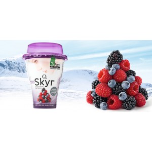 /prestashop/11001959-555-thickbox/q-skyr-yoghurt-skogsbarv.jpg