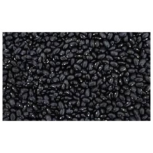 /prestashop/11099598-4322-thickbox/feijao-preto-sorte-bonner-25kg-brasil.jpg