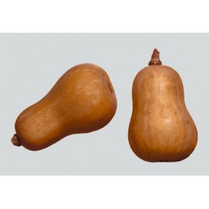 /prestashop/11100203-2584-thickbox/flaskegresskar-butternut-squash-kilo.jpg