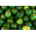 Lime kilo